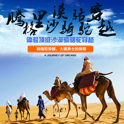 整合資源，打造專業旅游服務新生態